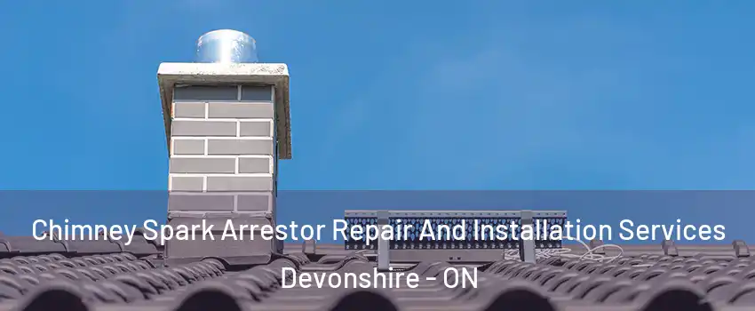  Chimney Spark Arrestor Repair And Installation Services Devonshire - ON