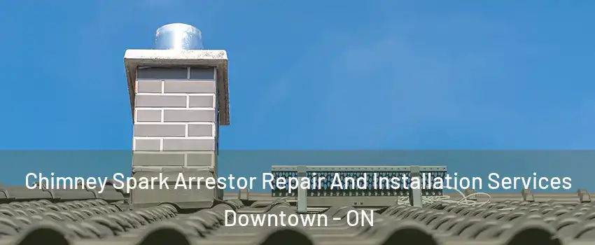  Chimney Spark Arrestor Repair And Installation Services Downtown - ON