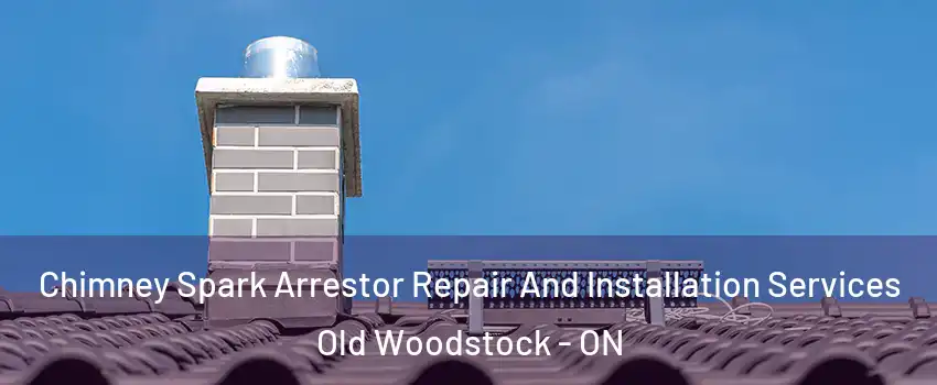  Chimney Spark Arrestor Repair And Installation Services Old Woodstock - ON