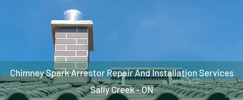  Chimney Spark Arrestor Repair And Installation Services Sally Creek - ON