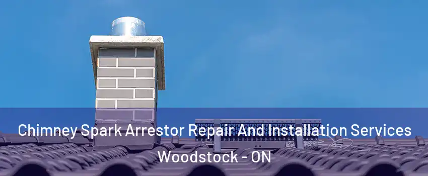  Chimney Spark Arrestor Repair And Installation Services Woodstock - ON