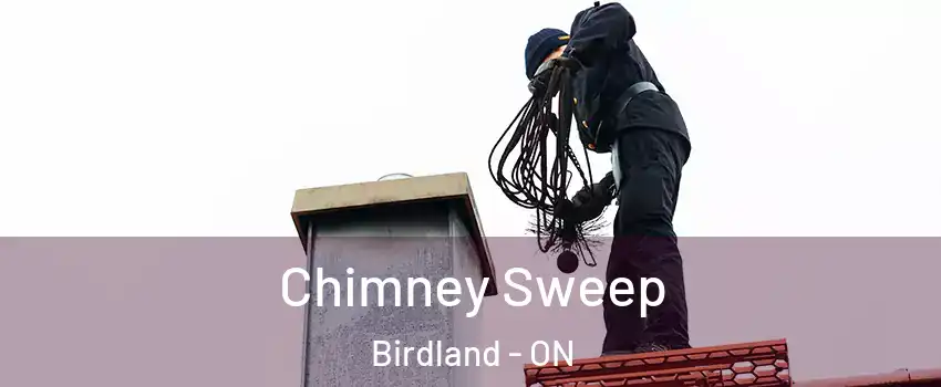  Chimney Sweep Birdland - ON