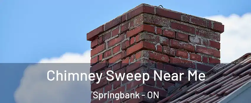  Chimney Sweep Near Me Springbank - ON