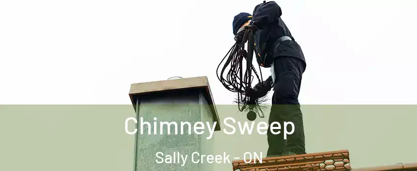  Chimney Sweep Sally Creek - ON