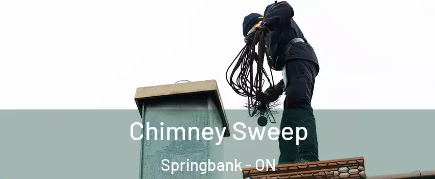  Chimney Sweep Springbank - ON