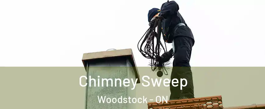  Chimney Sweep Woodstock - ON