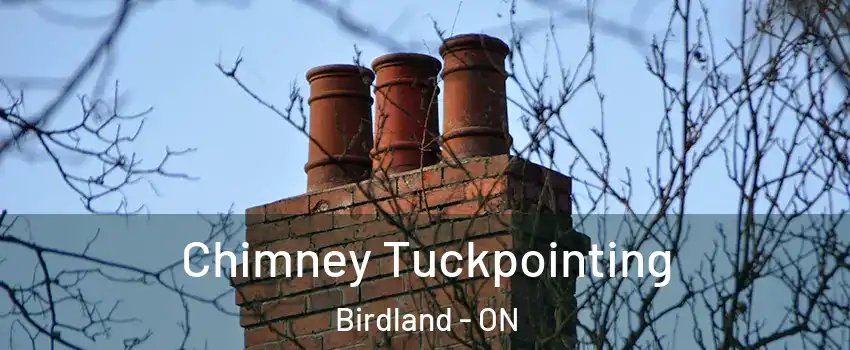  Chimney Tuckpointing Birdland - ON