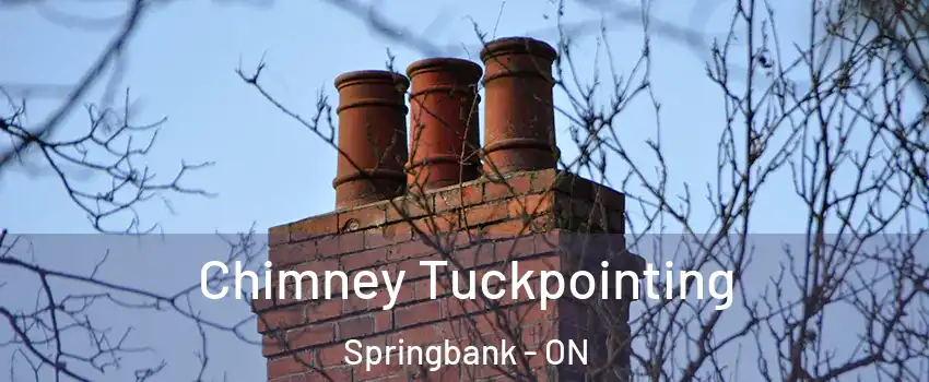  Chimney Tuckpointing Springbank - ON