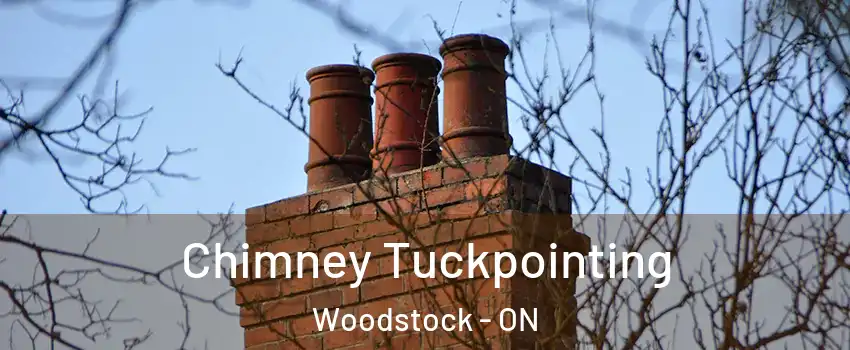  Chimney Tuckpointing Woodstock - ON