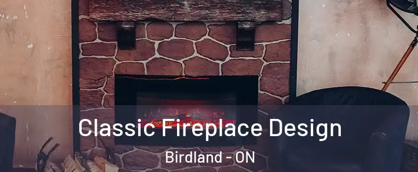  Classic Fireplace Design Birdland - ON
