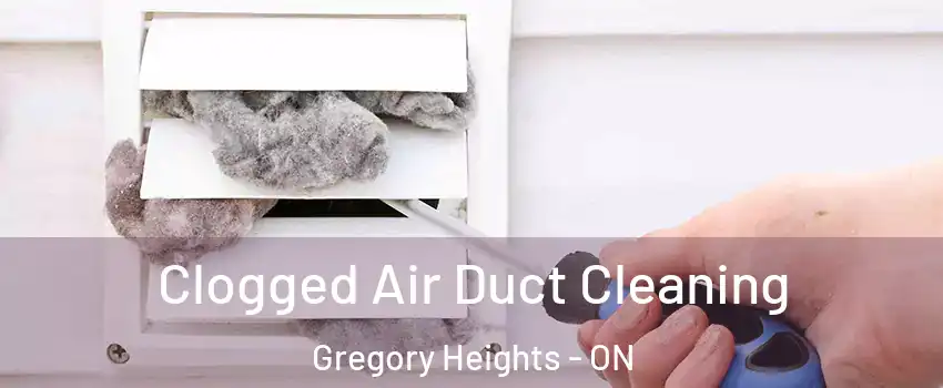  Clogged Air Duct Cleaning Gregory Heights - ON