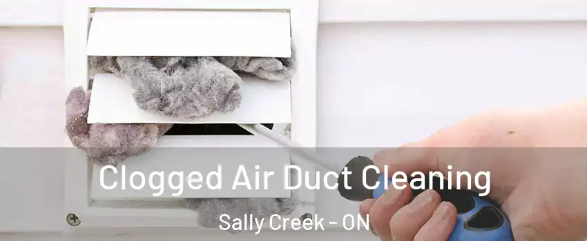  Clogged Air Duct Cleaning Sally Creek - ON