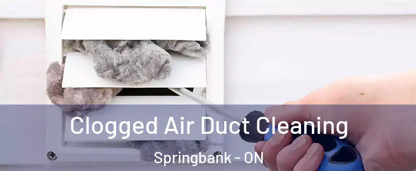  Clogged Air Duct Cleaning Springbank - ON