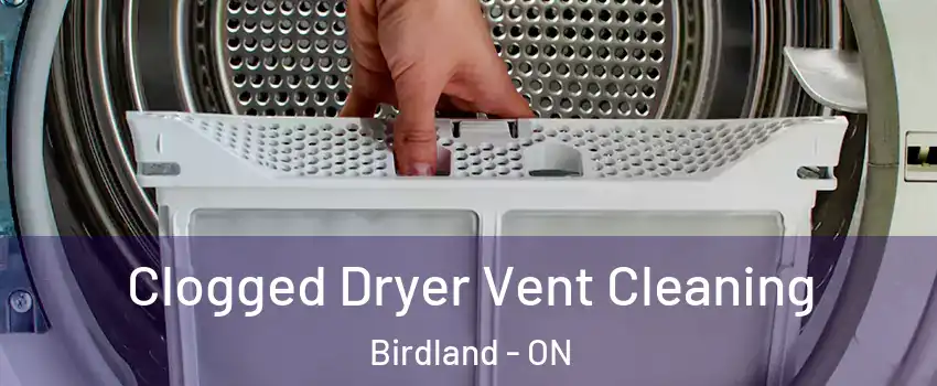  Clogged Dryer Vent Cleaning Birdland - ON