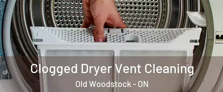  Clogged Dryer Vent Cleaning Old Woodstock - ON