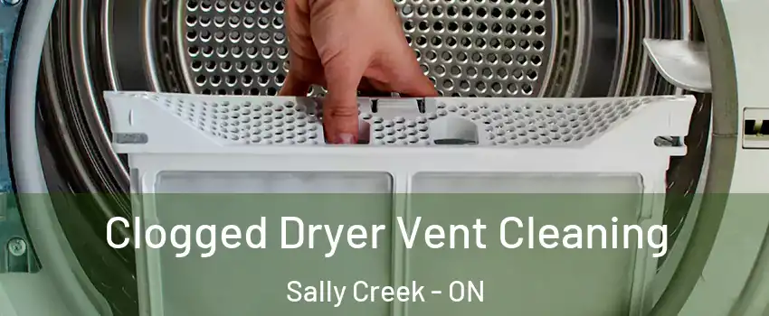  Clogged Dryer Vent Cleaning Sally Creek - ON