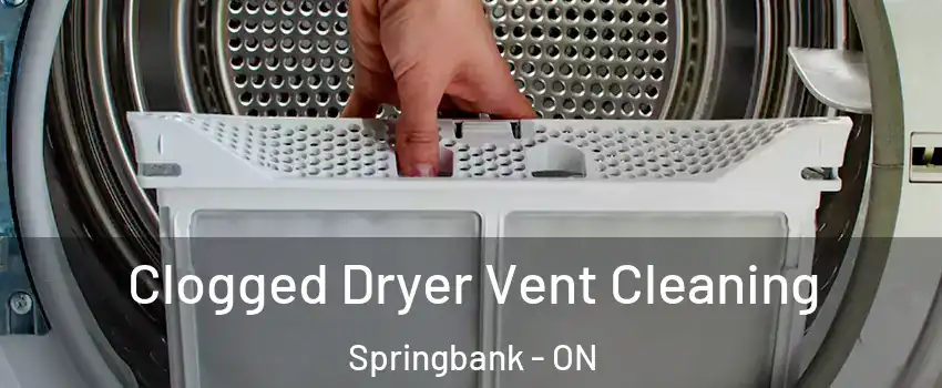  Clogged Dryer Vent Cleaning Springbank - ON