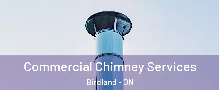  Commercial Chimney Services Birdland - ON
