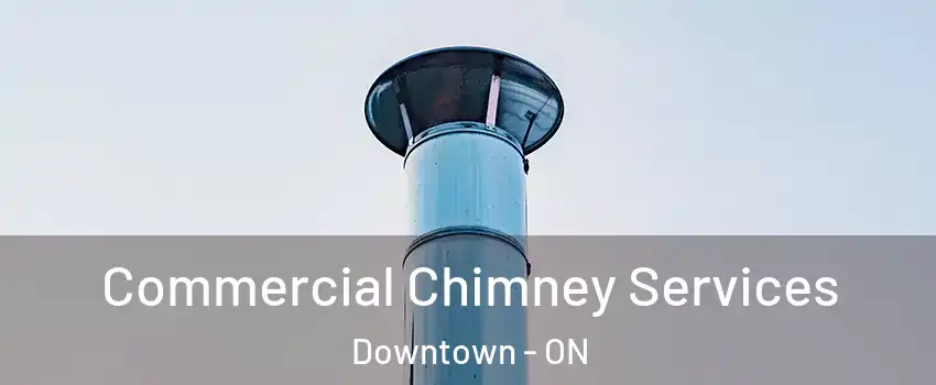  Commercial Chimney Services Downtown - ON