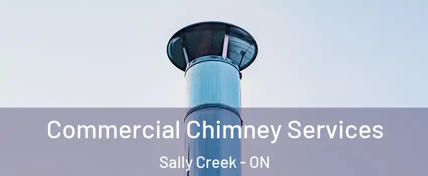 Commercial Chimney Services Sally Creek - ON
