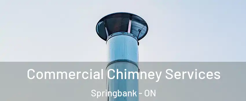  Commercial Chimney Services Springbank - ON