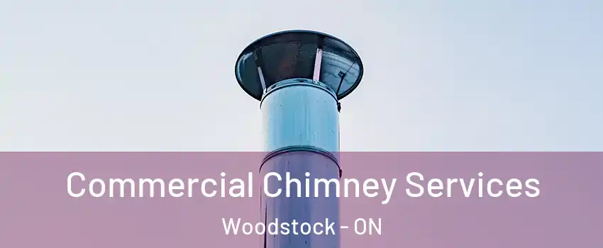  Commercial Chimney Services Woodstock - ON