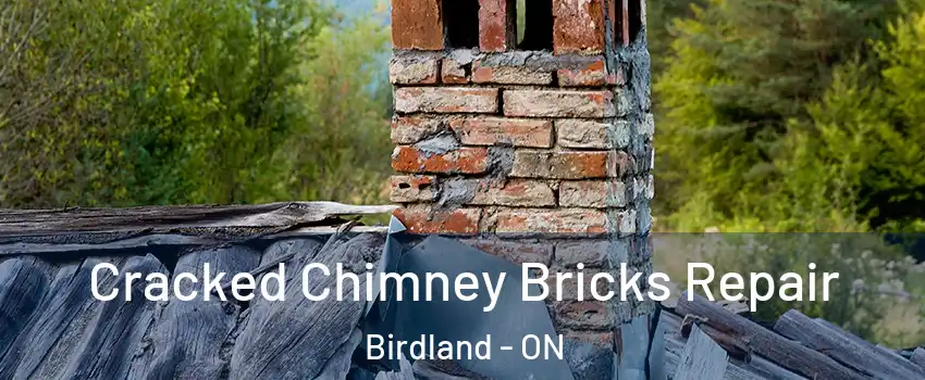  Cracked Chimney Bricks Repair Birdland - ON