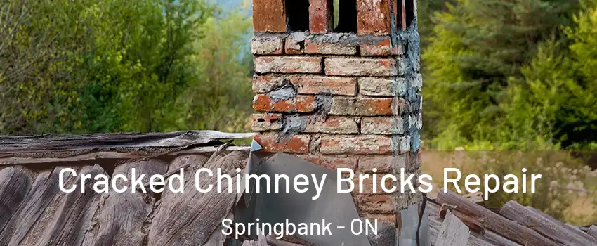  Cracked Chimney Bricks Repair Springbank - ON