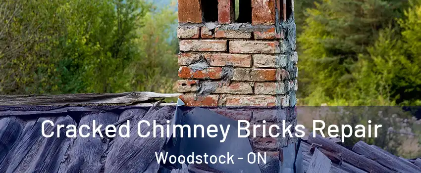  Cracked Chimney Bricks Repair Woodstock - ON