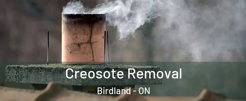  Creosote Removal Birdland - ON