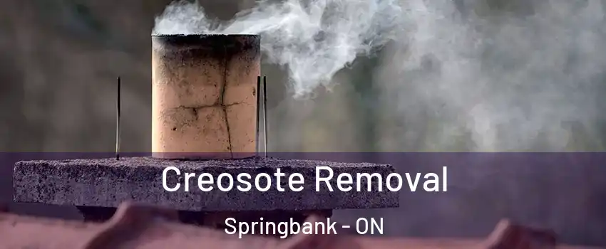 Creosote Removal Springbank - ON