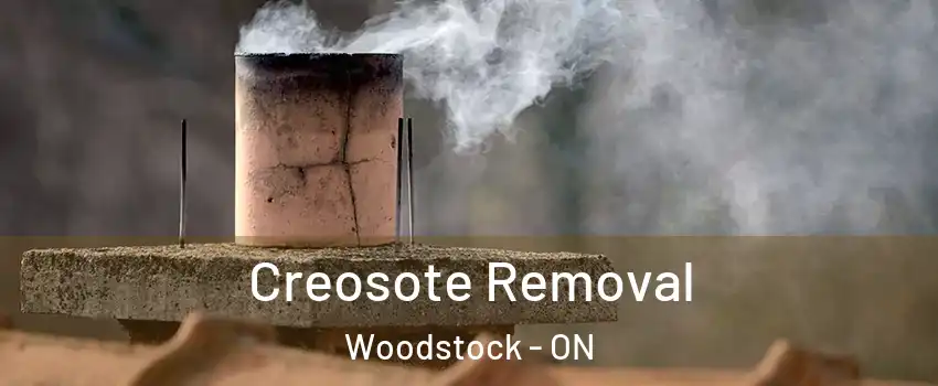  Creosote Removal Woodstock - ON