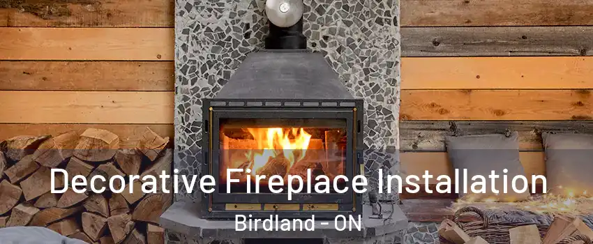  Decorative Fireplace Installation Birdland - ON