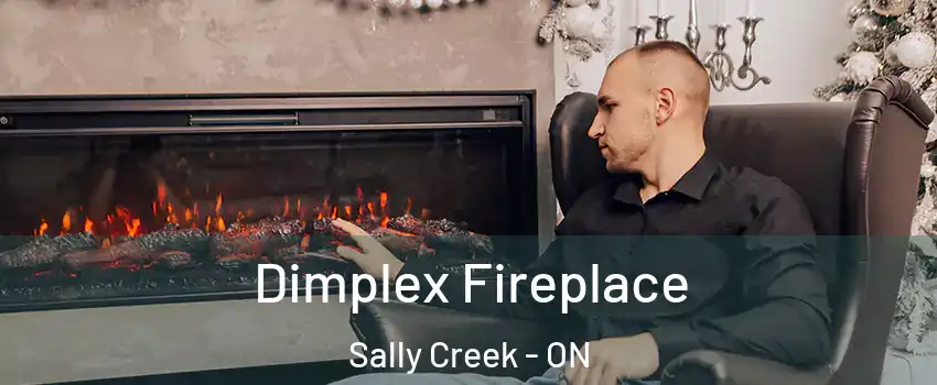 Dimplex Fireplace Sally Creek - ON