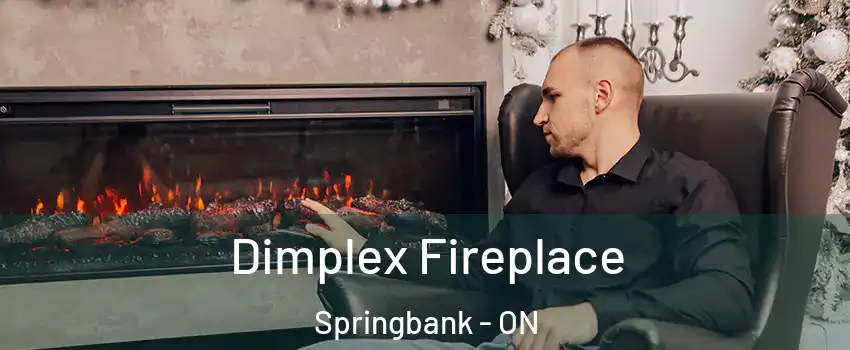  Dimplex Fireplace Springbank - ON