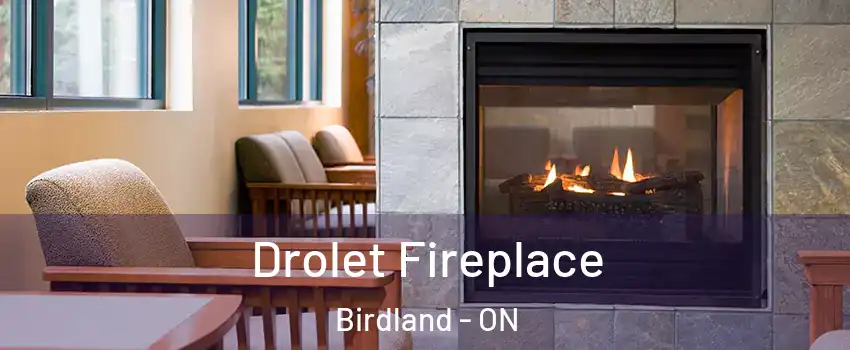 Drolet Fireplace Birdland - ON