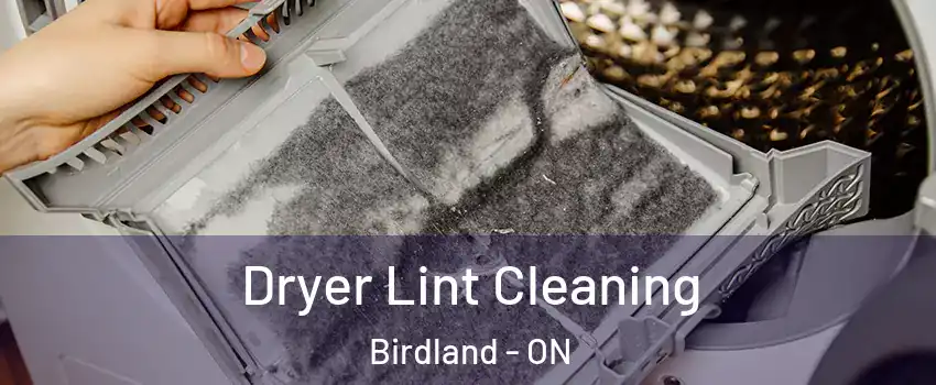  Dryer Lint Cleaning Birdland - ON