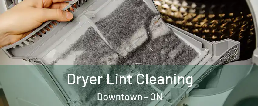  Dryer Lint Cleaning Downtown - ON