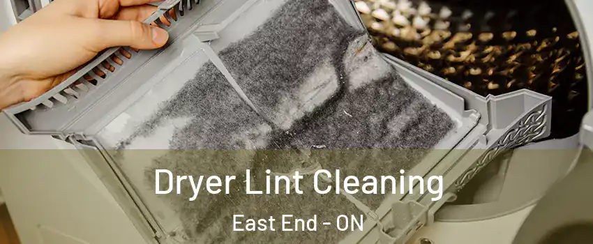  Dryer Lint Cleaning East End - ON