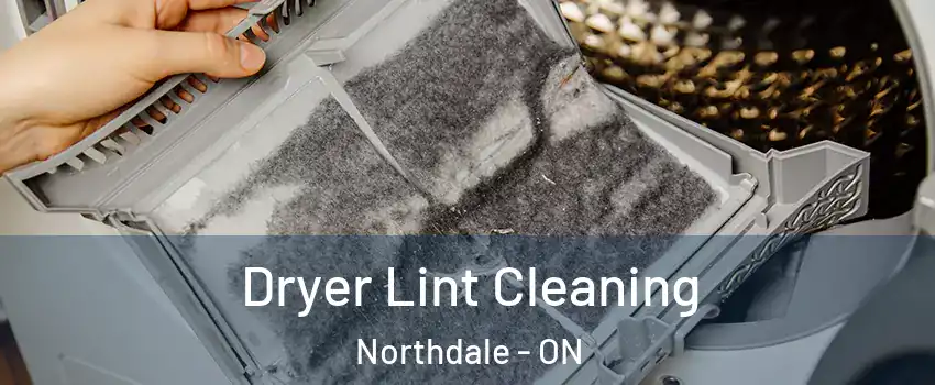  Dryer Lint Cleaning Northdale - ON