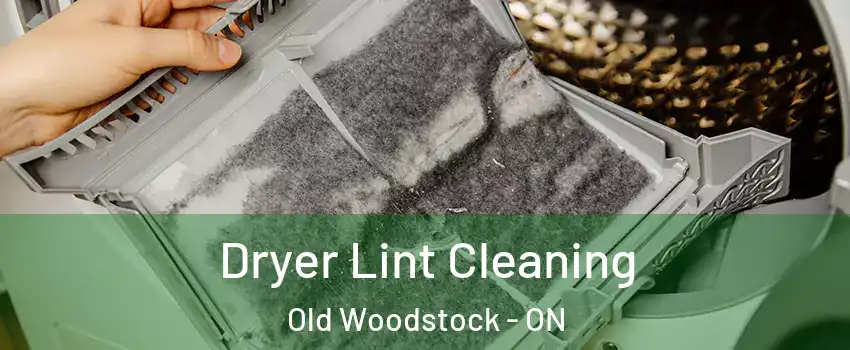  Dryer Lint Cleaning Old Woodstock - ON
