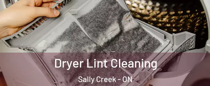  Dryer Lint Cleaning Sally Creek - ON