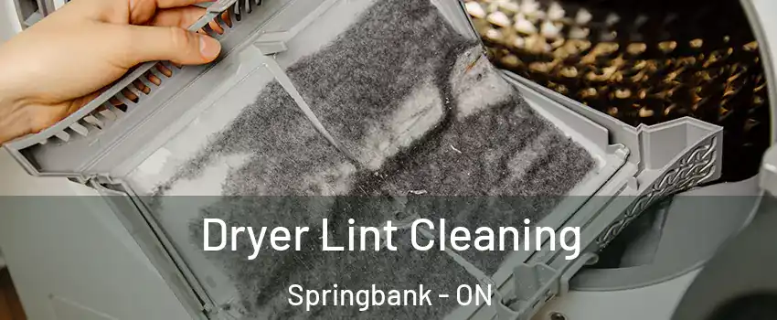  Dryer Lint Cleaning Springbank - ON