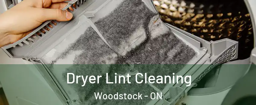  Dryer Lint Cleaning Woodstock - ON