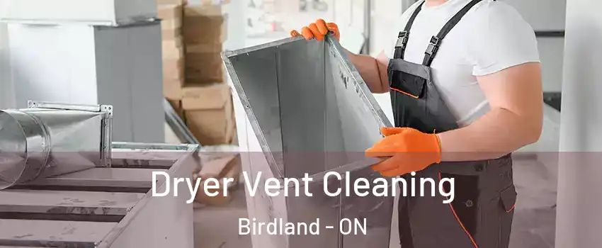  Dryer Vent Cleaning Birdland - ON