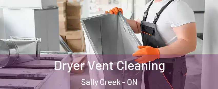  Dryer Vent Cleaning Sally Creek - ON