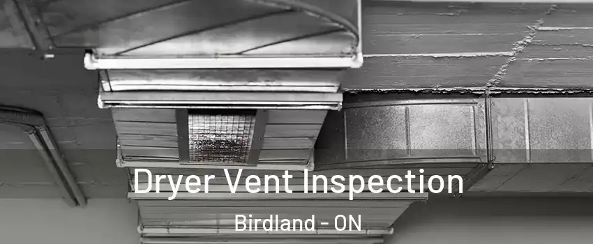  Dryer Vent Inspection Birdland - ON