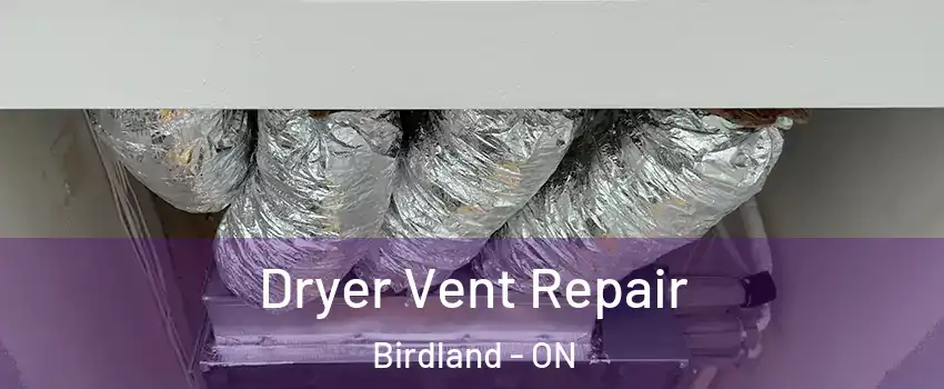  Dryer Vent Repair Birdland - ON