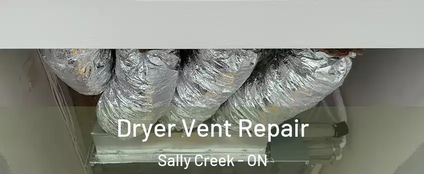  Dryer Vent Repair Sally Creek - ON