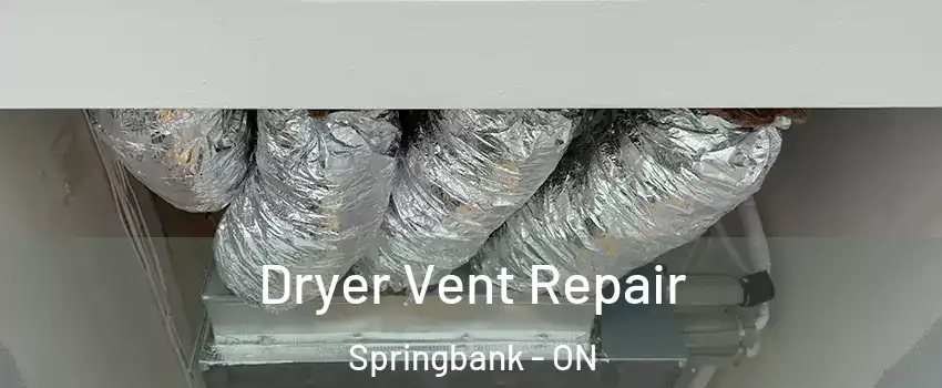  Dryer Vent Repair Springbank - ON